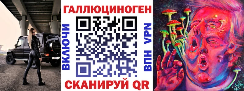 хочу   Лысково  Галлюциногенные грибы Psilocybe 